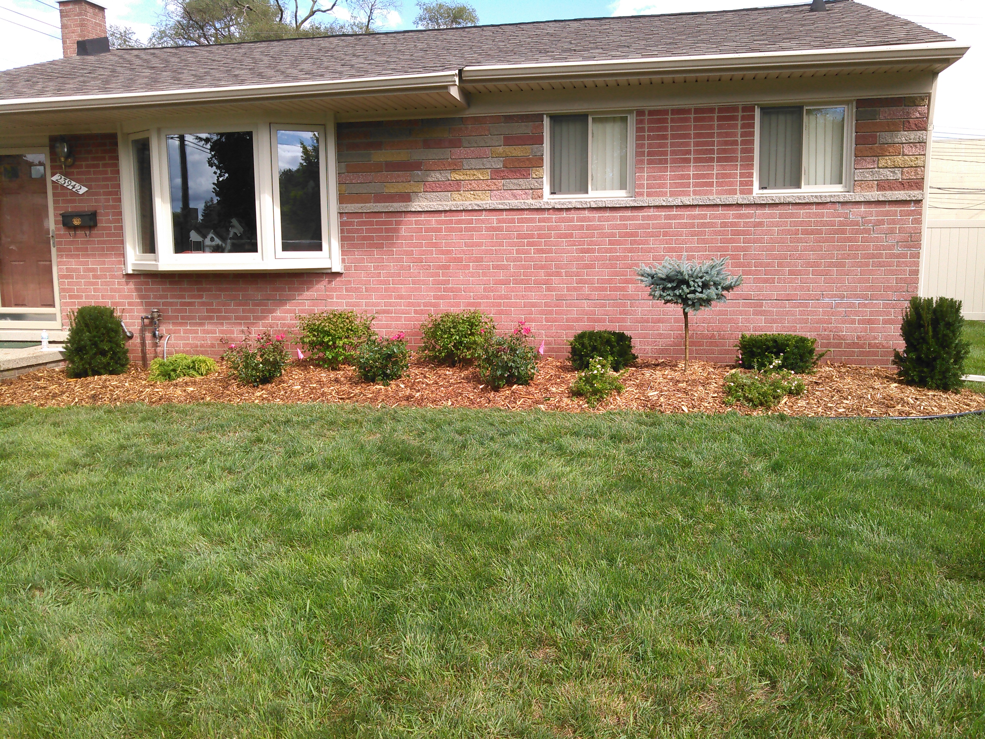 house with landscaping